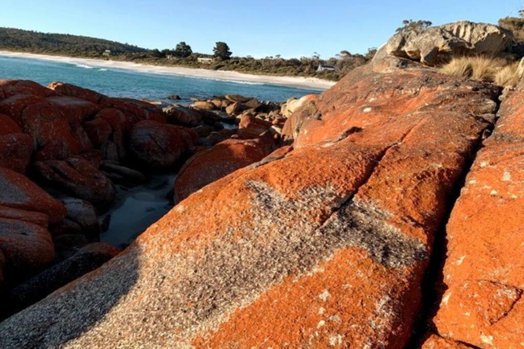 Lillybell Retreat-binalong Bay Binalong Bay