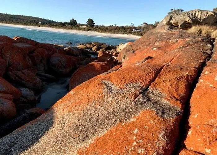 Lillybell Beach Retreat-Binalong Bay